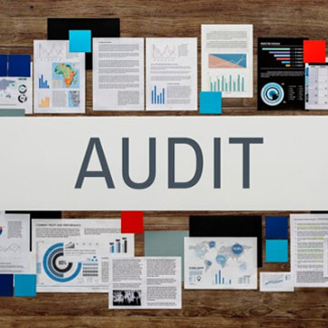 Audit & Inspection System