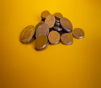 MicroFinance