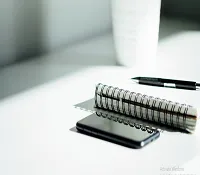Nidhi Companies